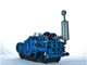 Horizontal Double Cylinder Drilling Mud Pump For Geological Prospecting BW250
